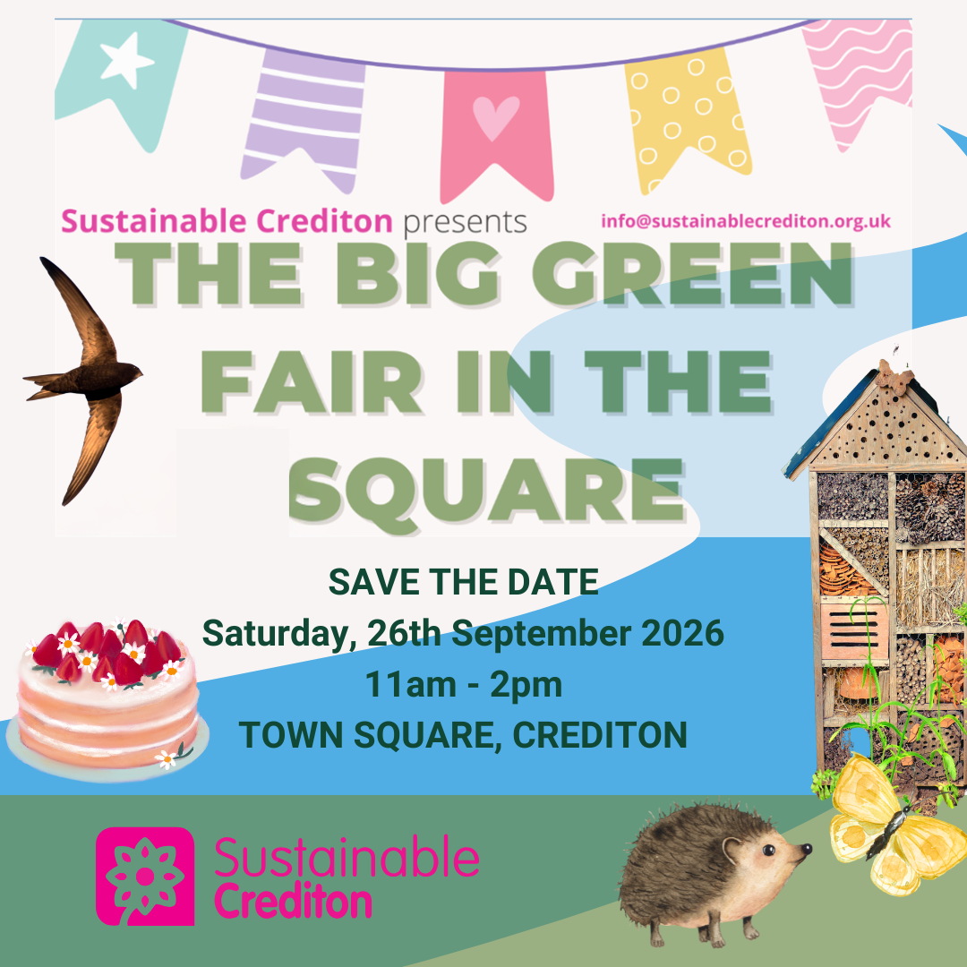 The Big Green Fair in the Square Crediton Flyer