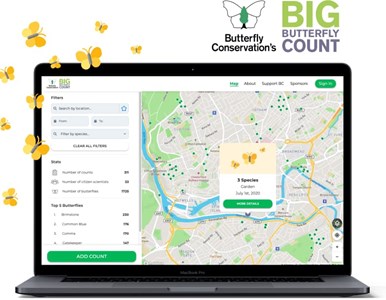 The Big Butterfly Count image