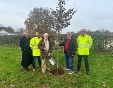New trees enhance environment along Blundell's Road image