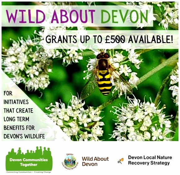 Wild About Devon 2026 Community Wildlife Grants image