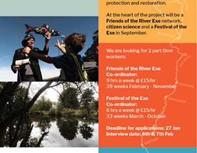 Event Coordinator and Festival of the Exe Coordinator image