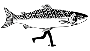 Salmon Run 2026 image